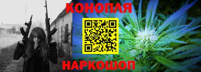 гидра Заволжье