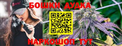 гашик Заводоуковск