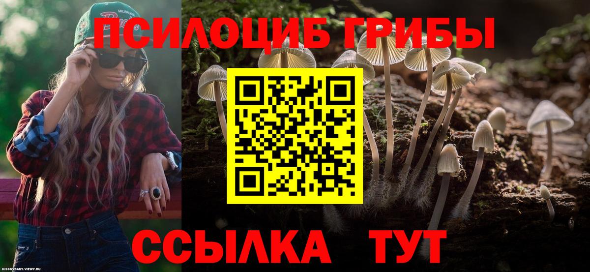 что такое наркотик  Галлюциногенные грибы мухоморы  Галлюциногенные грибы Magic Shrooms  Вход с VPN  Дмитров 